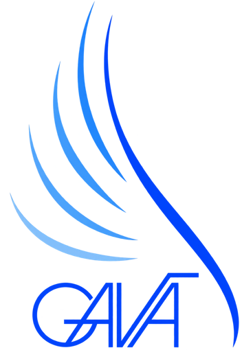 GAVA corporate mark
